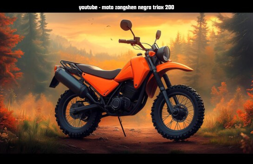 youtube - moto zongshen negra triax 200
